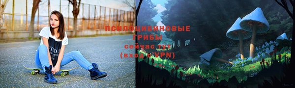 героин Богородицк