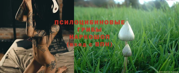 герыч Богородск