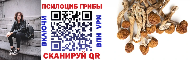 как найти   Кострома  Галлюциногенные грибы прущие грибы 